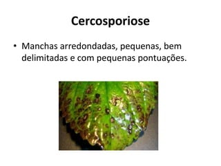 Cercosporiose
• Manchas arredondadas, pequenas, bem
delimitadas e com pequenas pontuações.
 