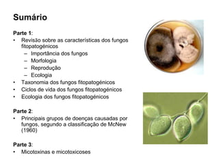 Sumário
Parte 1:
• Revisão sobre as características dos fungos
fitopatogénicos
– Importância dos fungos
– Morfologia
– Reprodução
– Ecologia
• Taxonomia dos fungos fitopatogénicos
• Ciclos de vida dos fungos fitopatogénicos
• Ecologia dos fungos fitopatogénicos
Parte 2:
• Principais grupos de doenças causadas por
fungos, segundo a classificação de McNew
(1960)
Parte 3:
• Micotoxinas e micotoxicoses
 