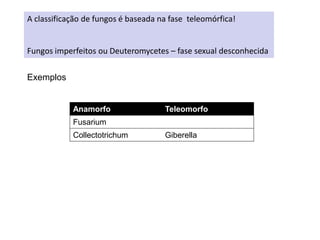 A classificação de fungos é baseada na fase teleomórfica!
Fungos imperfeitos ou Deuteromycetes – fase sexual desconhecida
Anamorfo Teleomorfo
Fusarium
Collectotrichum Giberella
Exemplos
 