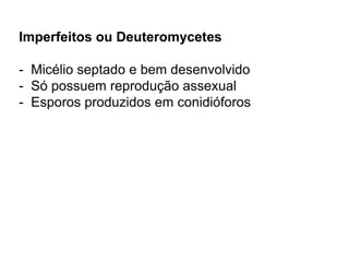 Imperfeitos ou Deuteromycetes
- Micélio septado e bem desenvolvido
- Só possuem reprodução assexual
- Esporos produzidos em conidióforos
 