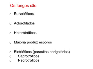 o Eucarióticos
o Aclorofilados
o Heterotróficos
o Maioria produz esporos
o Biotrióficos (parasitas obrigatórios)
o Saprotróficos
o Necrotróficos
Os fungos são:
 