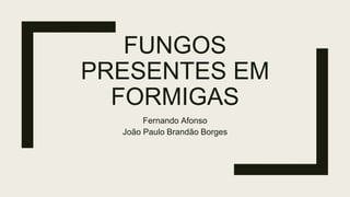 FUNGOS
PRESENTES EM
FORMIGAS
Fernando Afonso
João Paulo Brandão Borges
 