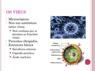 OS VIRUS
 Microscópicos.
 Non son auténticos
seres vivos.
 Non realizan por si
mesmos as funcións
vitais.
 Parasitos obrigados.
 Estrutura básica
 Envoltura externa
 Cápsida protéica.
 Ácido nucleico.
 