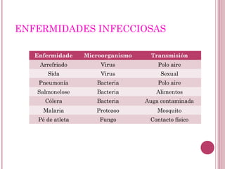 ENFERMIDADES INFECCIOSAS
Enfermidade Microorganismo Transmisión
Arrefriado Virus Polo aire
Sida Virus Sexual
Pneumonía Bacteria Polo aire
Salmonelose Bacteria Alimentos
Cólera Bacteria Auga contaminada
Malaria Protozoo Mosquito
Pé de atleta Fungo Contacto físico
 
