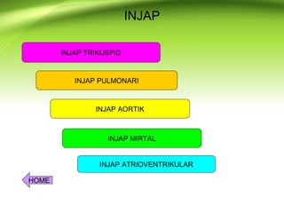Injap fungsi bahagian2 jantung. untuk melihat kepentingan bahagian struktur ...