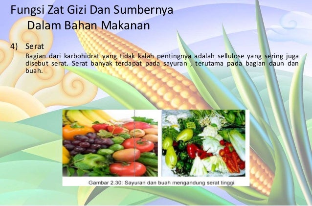 Fungsi Dan Kebutuhan Zat Gizi