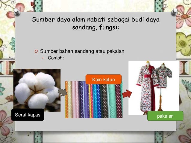 Fungsi dan peran sumber daya alam dalam pembangunan