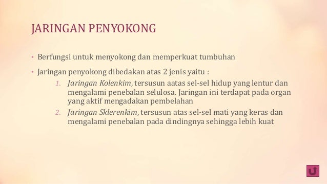 Fungsi dan struktur jaringan tumbuhan Fungsi dan struktur jaringan tumbuhan
