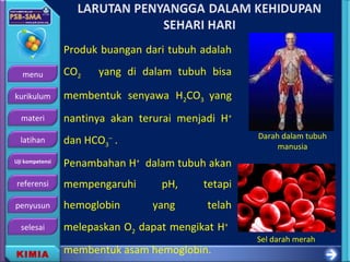 menu
kurikulum
materi
latihan
Uji kompetensi
referensi
penyusun
selesai
KIMIA
Produk buangan dari tubuh adalah
CO2 yang di dalam tubuh bisa
membentuk senyawa H2CO3 yang
nantinya akan terurai menjadi H+
dan HCO3
–
.
Penambahan H+
dalam tubuh akan
mempengaruhi pH, tetapi
hemoglobin yang telah
melepaskan O2 dapat mengikat H+
membentuk asam hemoglobin.
Sel darah merah
Darah dalam tubuh
manusia
 