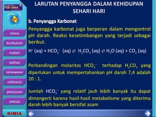 menu
kurikulum
materi
latihan
Uji kompetensi
referensi
penyusun
selesai
KIMIA
Penyangga karbonat juga berperan dalam mengontrol
pH darah. Reaksi kesetimbangan yang terjadi sebagai
berikut.
H+
(aq) + HCO3
–
(aq)  H2CO3 (aq)  H2O (aq) + CO2 (aq)
Perbandingan molaritas HCO3
–
terhadap H2CO3 yang
diperlukan untuk mempertahankan pH darah 7,4 adalah
20 : 1.
Jumlah HCO3
–
yang relatif jauh lebih banyak itu dapat
dimengerti karena hasil-hasil metabolisme yang diterima
darah lebih banyak bersifat asam
 