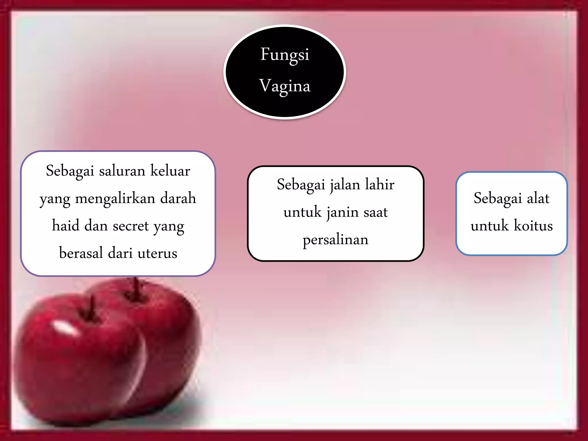 Sebagai saluran keluar
yang mengalirkan darah
haid dan secret yang
berasal dari uterus
Fungsi
Vagina
Sebagai alat
untuk koitus
Sebagai jalan lahir
untuk janin saat
persalinan
 