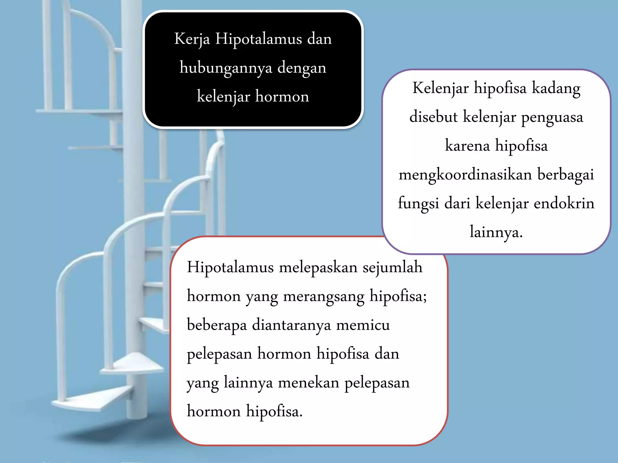 Kerja Hipotalamus dan
hubungannya dengan
kelenjar hormon
Hipotalamus melepaskan sejumlah
hormon yang merangsang hipofisa;
beberapa diantaranya memicu
pelepasan hormon hipofisa dan
yang lainnya menekan pelepasan
hormon hipofisa.
Kelenjar hipofisa kadang
disebut kelenjar penguasa
karena hipofisa
mengkoordinasikan berbagai
fungsi dari kelenjar endokrin
lainnya.
 