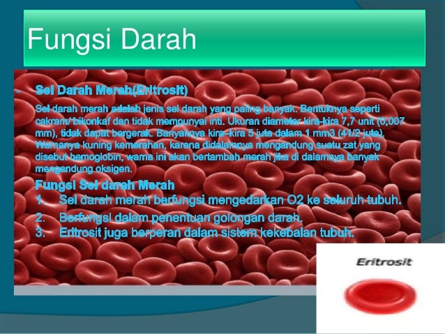 Fungsi Teknologi Dan Kelainan Pada Darah