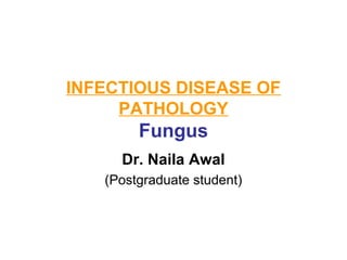 INFECTIOUS DISEASE OF
PATHOLOGY

Fungus
Dr. Naila Awal
(Postgraduate student)

 