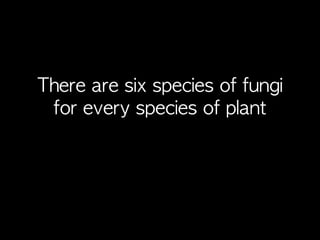 There	 are	 six	 species	 of	 fungi	 
for	 every	 species	 of	 plant
 