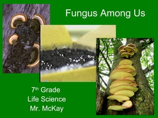 Fungus Among Us 7 th  Grade  Life Science Mr. McKay 