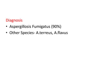 Diagnosis
• Aspergillosis Fumigatus (90%)
• Other Species- A.terreus, A.flavus
 