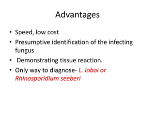 Advantages
• Speed, low cost
• Presumptive identification of the infecting
fungus
• Demonstrating tissue reaction.
• Only way to diagnose- L. loboi or
Rhinosporidium seeberi
 