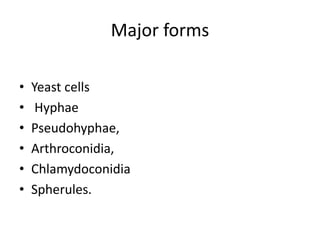 Major forms
• Yeast cells
• Hyphae
• Pseudohyphae,
• Arthroconidia,
• Chlamydoconidia
• Spherules.
 