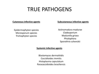 TRUE PATHOGENS
Cutaneous infective agents Subcutaneous infective agents
Epidermophyton species
Microsporum species
Trichophyton species
Actinomadura madurae
Cladosporium
Madurella grisea
Phialophora
Sporothrix schenckii
Systemic infective agents
Blastomyces dermatitidis
Coccidioides immitis
Histoplasma capsulatum
Paracoccidioides brasiliensis
 