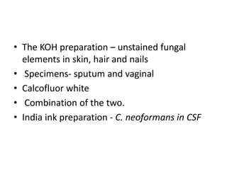 • The KOH preparation – unstained fungal
elements in skin, hair and nails
• Specimens- sputum and vaginal
• Calcofluor white
• Combination of the two.
• India ink preparation - C. neoformans in CSF
 