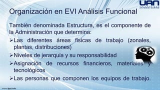 Organización en EVI Análisis Funcional 
También denominada Estructura, es el componente de 
la Administración que determina: 
Las diferentes áreas físicas de trabajo (zonales, 
plantas, distribuciones) 
Niveles de jerarquía y su responsabilidad 
Asignación de recursos financieros, materiales y 
tecnológicos 
Las personas que componen los equipos de trabajo. 
 