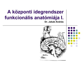 A központi idegrendszer
funkcionális anatómiája I.
                 Dr. Jakab András
 