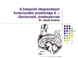 A központi idegrendszer funkcionális anatómiája II. – Gerincvelő, érzékszervek  Dr. Jakab András 