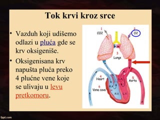 Tok krvi kroz srce
• Vazduh koji udišemo
odlazi u pluća gde se
krv oksigeniše.
• Oksigenisana krv
napušta pluća preko
4 plućne vene koje
se ulivaju u levu
pretkomoru.
 