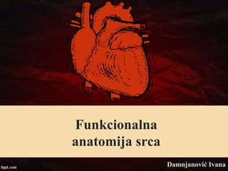 Funkcionalna
anatomija srca
Damnjanović Ivana
 
