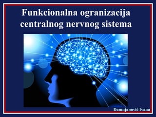 Funkcionalna ogranizacija
centralnog nervnog sistema
Damnjanović Ivana
 
