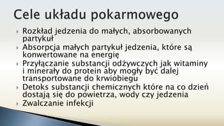  Rozkład jedzenia do małych, absorbowanych
partykuł
 Absorpcja małych partykuł jedzenia, które są
konwertowane na energię
 Przyłączanie substancji odżywczych jak witaminy
i minerały do protein aby mogły być dalej
transportowane do krwiobiegu
 Detoks substancji chemicznych które na co dzień
dostają się do powietrza, wody czy jedzenia
 Zwalczanie infekcji
 