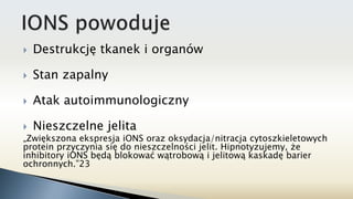  Destrukcję tkanek i organów
 Stan zapalny
 Atak autoimmunologiczny
 Nieszczelne jelita
„Zwiększona ekspresja iONS oraz oksydacja/nitracja cytoszkieletowych
protein przyczynia się do nieszczelności jelit. Hipnotyzujemy, że
inhibitory iONS będą blokować wątrobową i jelitową kaskadę barier
ochronnych.”23
 