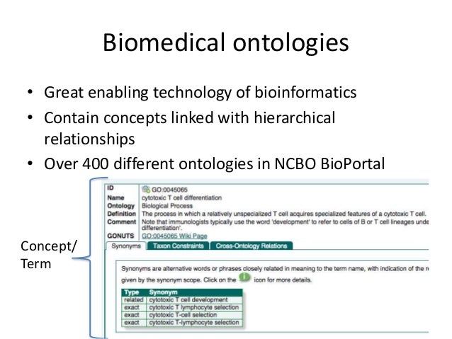 Master thesis bioinformatics example picture