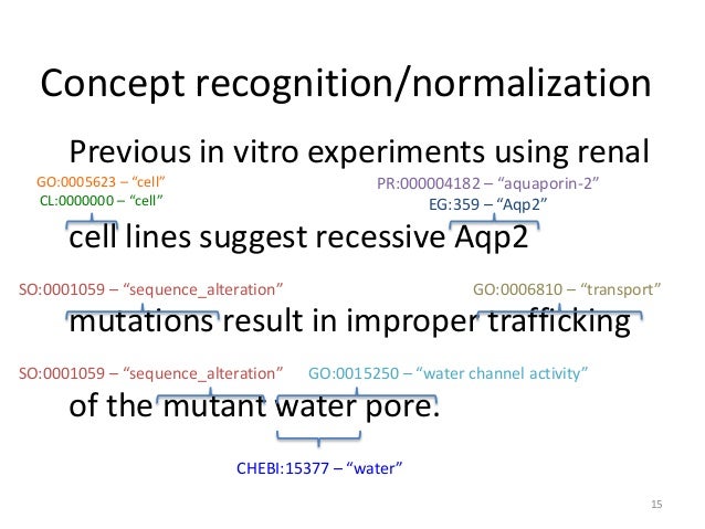 Bioinformatics thesis pdf picture