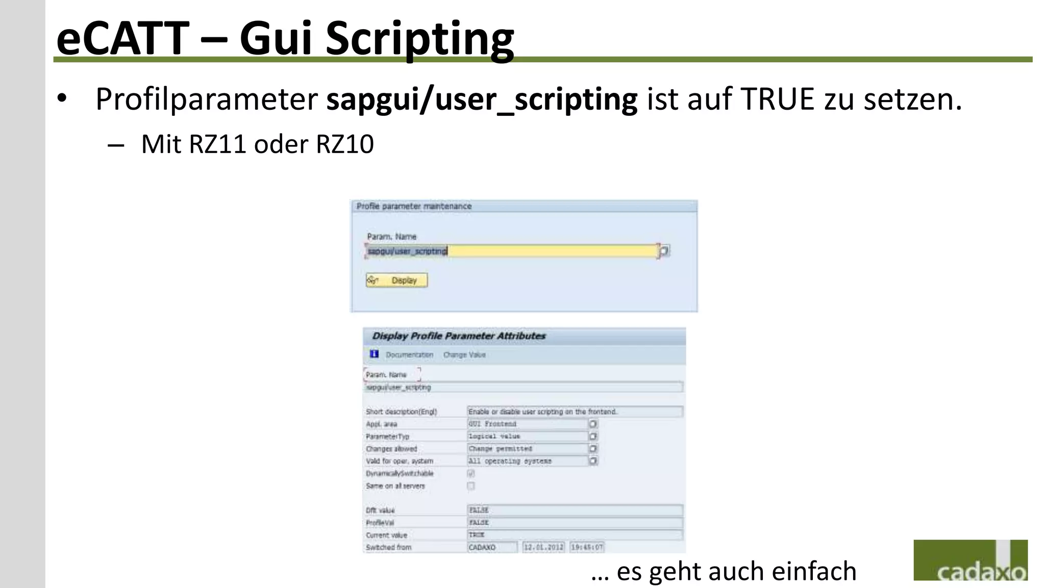 eCATT – Gui Scripting
• Profilparameter sapgui/user_scripting ist auf TRUE zu setzen.
   – Mit RZ11 oder RZ10




                                     … es geht auch einfach
 