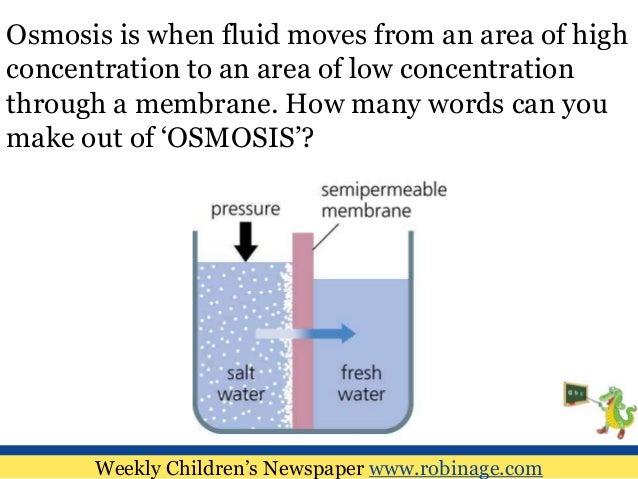 Fun Learning For Kids Fun With Science