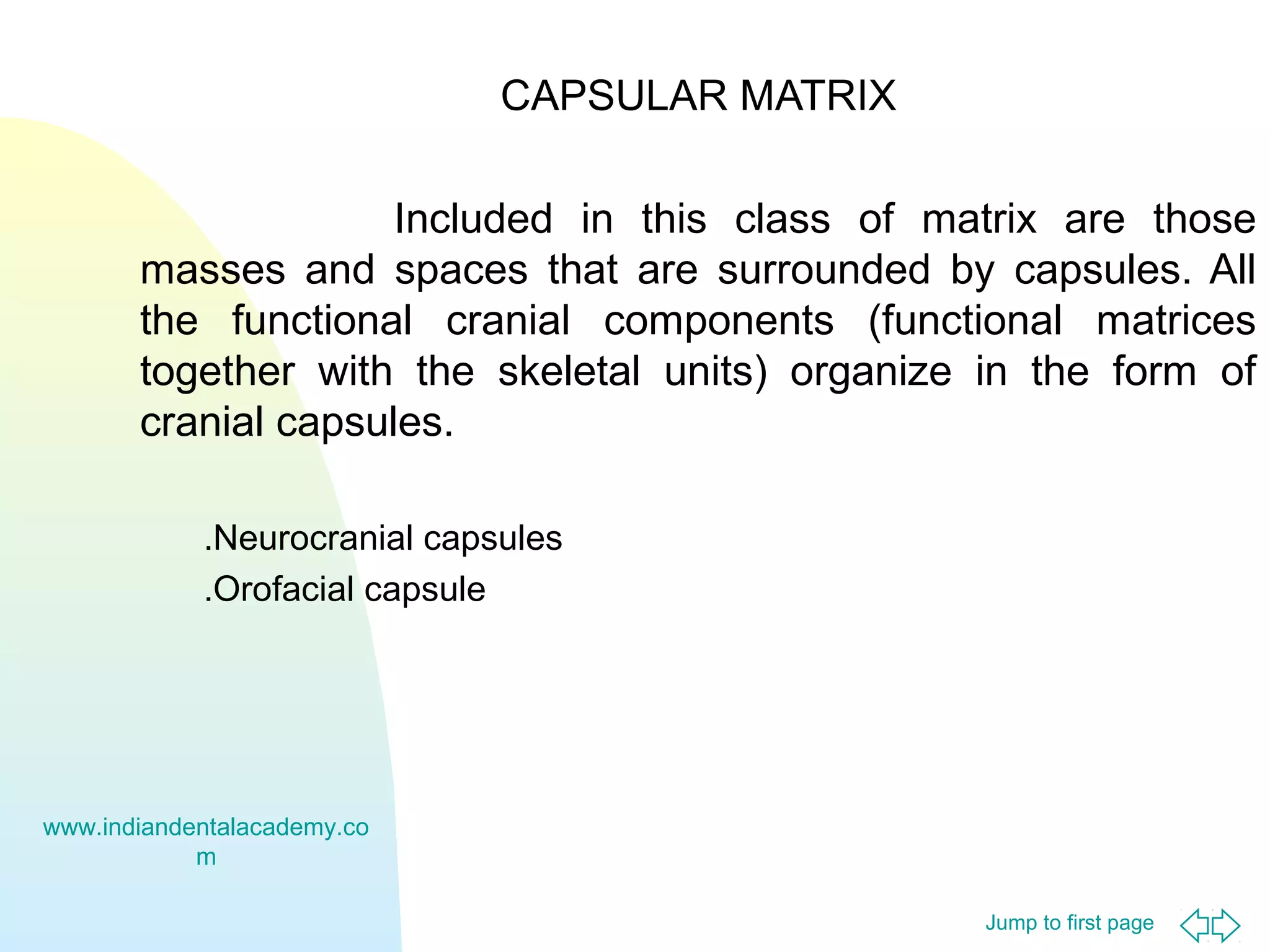 CAPSULAR MATRIX
Included in this class of matrix are those
masses and spaces that are surrounded by capsules. All
the functional cranial components (functional matrices
together with the skeletal units) organize in the form of
cranial capsules.
.Neurocranial capsules
.Orofacial capsule

www.indiandentalacademy.co
m
Jump to first page

 