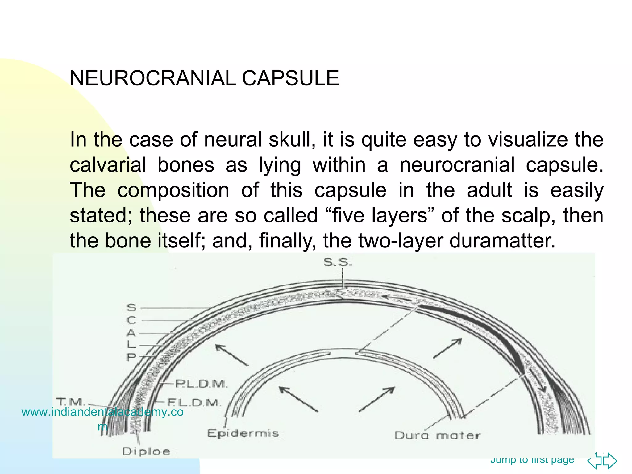 NEUROCRANIAL CAPSULE
In the case of neural skull, it is quite easy to visualize the
calvarial bones as lying within a neurocranial capsule.
The composition of this capsule in the adult is easily
stated; these are so called “five layers” of the scalp, then
the bone itself; and, finally, the two-layer duramatter.

www.indiandentalacademy.co
m
Jump to first page

 