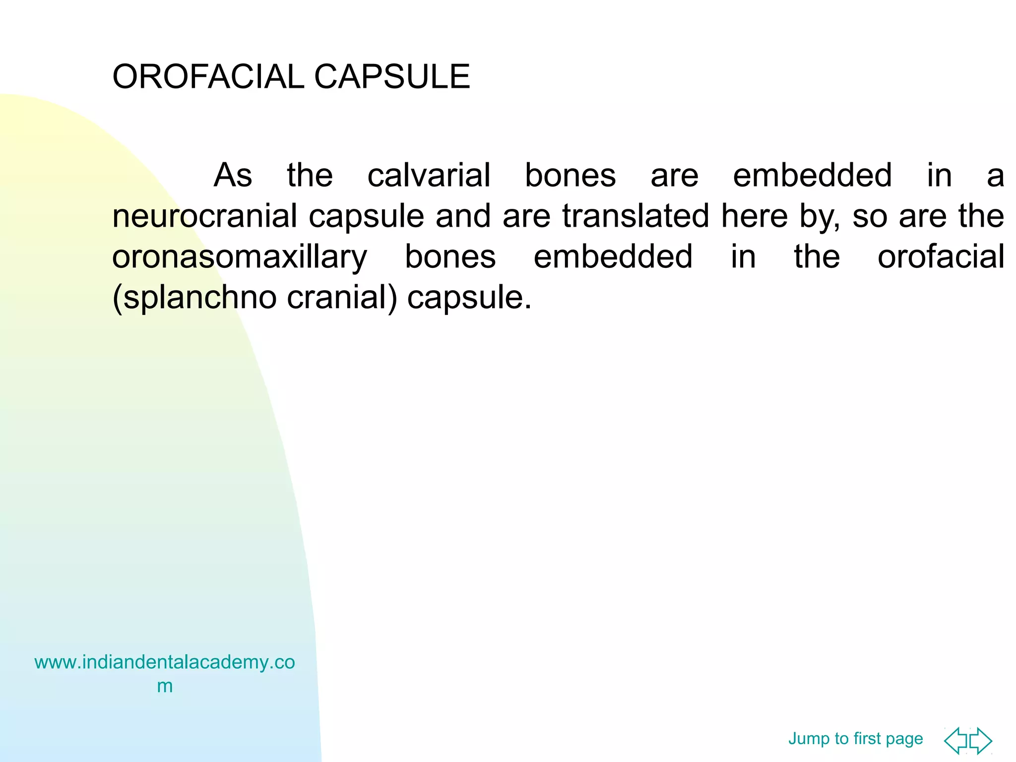 OROFACIAL CAPSULE
As the calvarial bones are embedded in a
neurocranial capsule and are translated here by, so are the
oronasomaxillary bones embedded in the orofacial
(splanchno cranial) capsule.

www.indiandentalacademy.co
m
Jump to first page

 