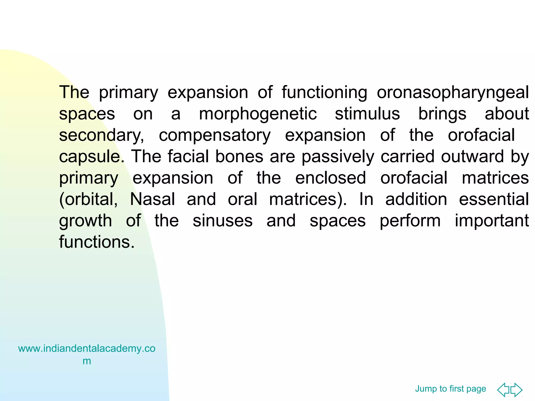 The primary expansion of functioning oronasopharyngeal
spaces on a morphogenetic stimulus brings about
secondary, compensatory expansion of the orofacial
capsule. The facial bones are passively carried outward by
primary expansion of the enclosed orofacial matrices
(orbital, Nasal and oral matrices). In addition essential
growth of the sinuses and spaces perform important
functions.

www.indiandentalacademy.co
m
Jump to first page

 