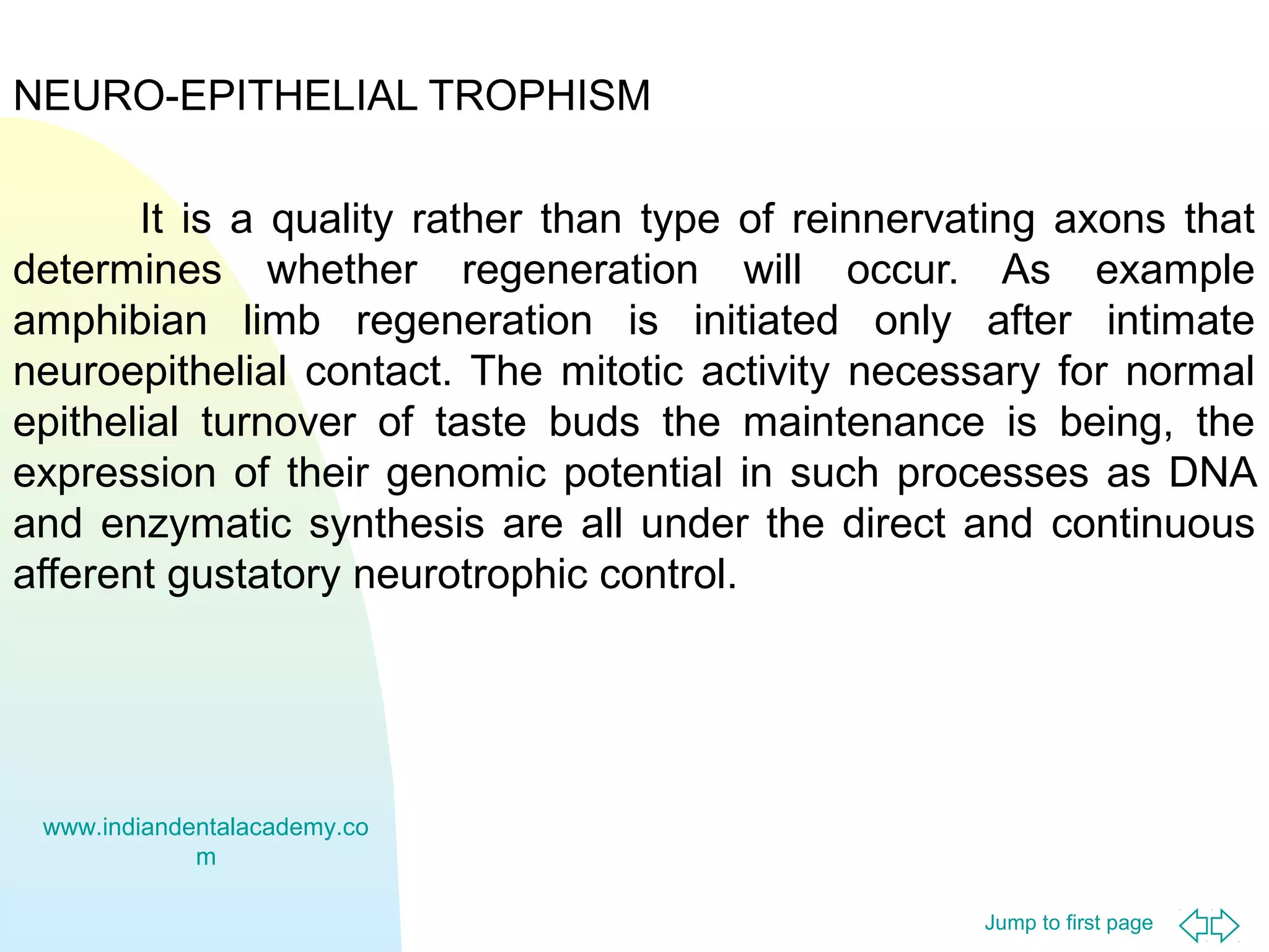 NEURO-EPITHELIAL TROPHISM
It is a quality rather than type of reinnervating axons that
determines whether regeneration will occur. As example
amphibian limb regeneration is initiated only after intimate
neuroepithelial contact. The mitotic activity necessary for normal
epithelial turnover of taste buds the maintenance is being, the
expression of their genomic potential in such processes as DNA
and enzymatic synthesis are all under the direct and continuous
afferent gustatory neurotrophic control.

www.indiandentalacademy.co
m
Jump to first page

 