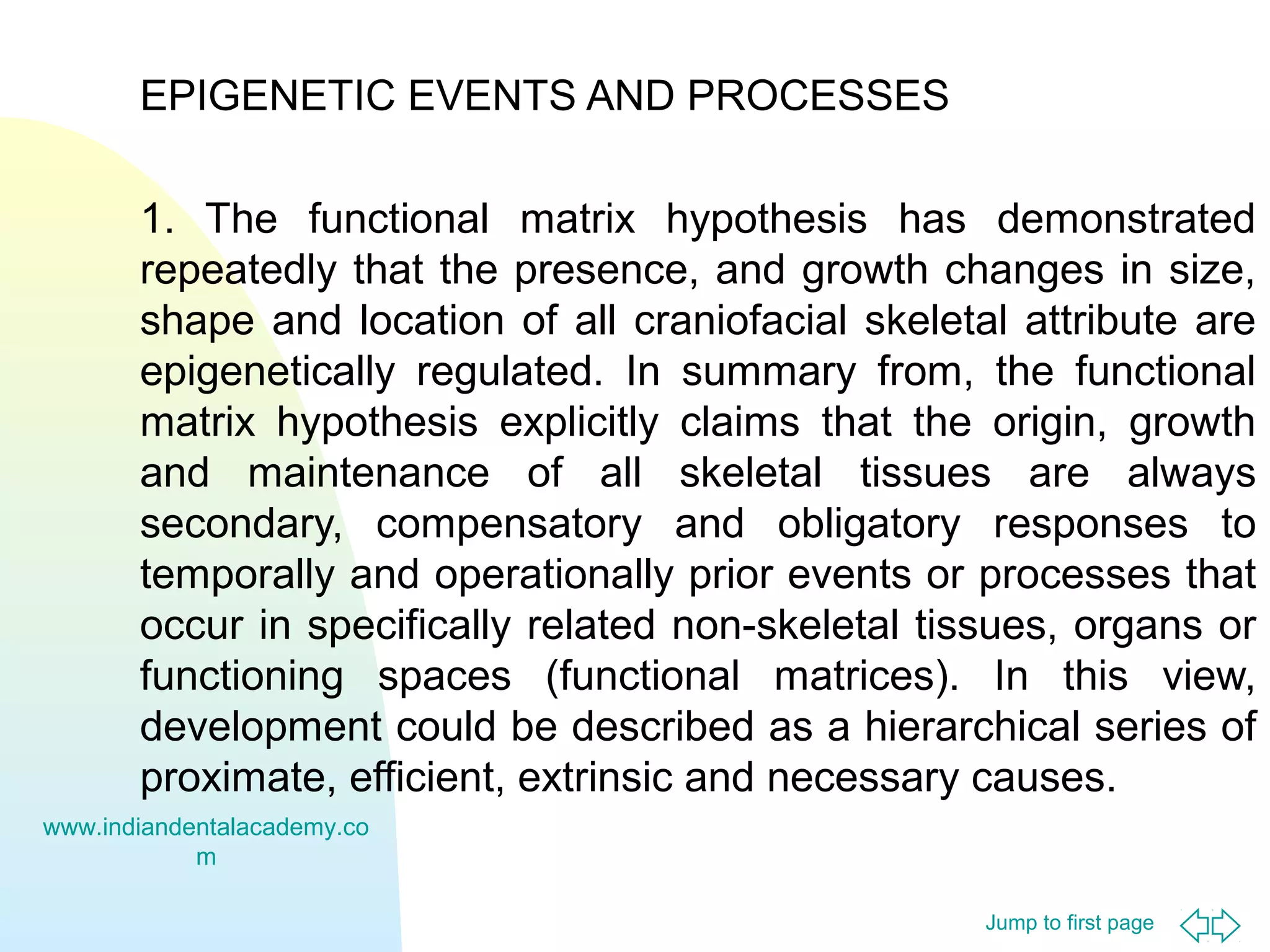 EPIGENETIC EVENTS AND PROCESSES
1. The functional matrix hypothesis has demonstrated
repeatedly that the presence, and growth changes in size,
shape and location of all craniofacial skeletal attribute are
epigenetically regulated. In summary from, the functional
matrix hypothesis explicitly claims that the origin, growth
and maintenance of all skeletal tissues are always
secondary, compensatory and obligatory responses to
temporally and operationally prior events or processes that
occur in specifically related non-skeletal tissues, organs or
functioning spaces (functional matrices). In this view,
development could be described as a hierarchical series of
proximate, efficient, extrinsic and necessary causes.
www.indiandentalacademy.co
m
Jump to first page

 