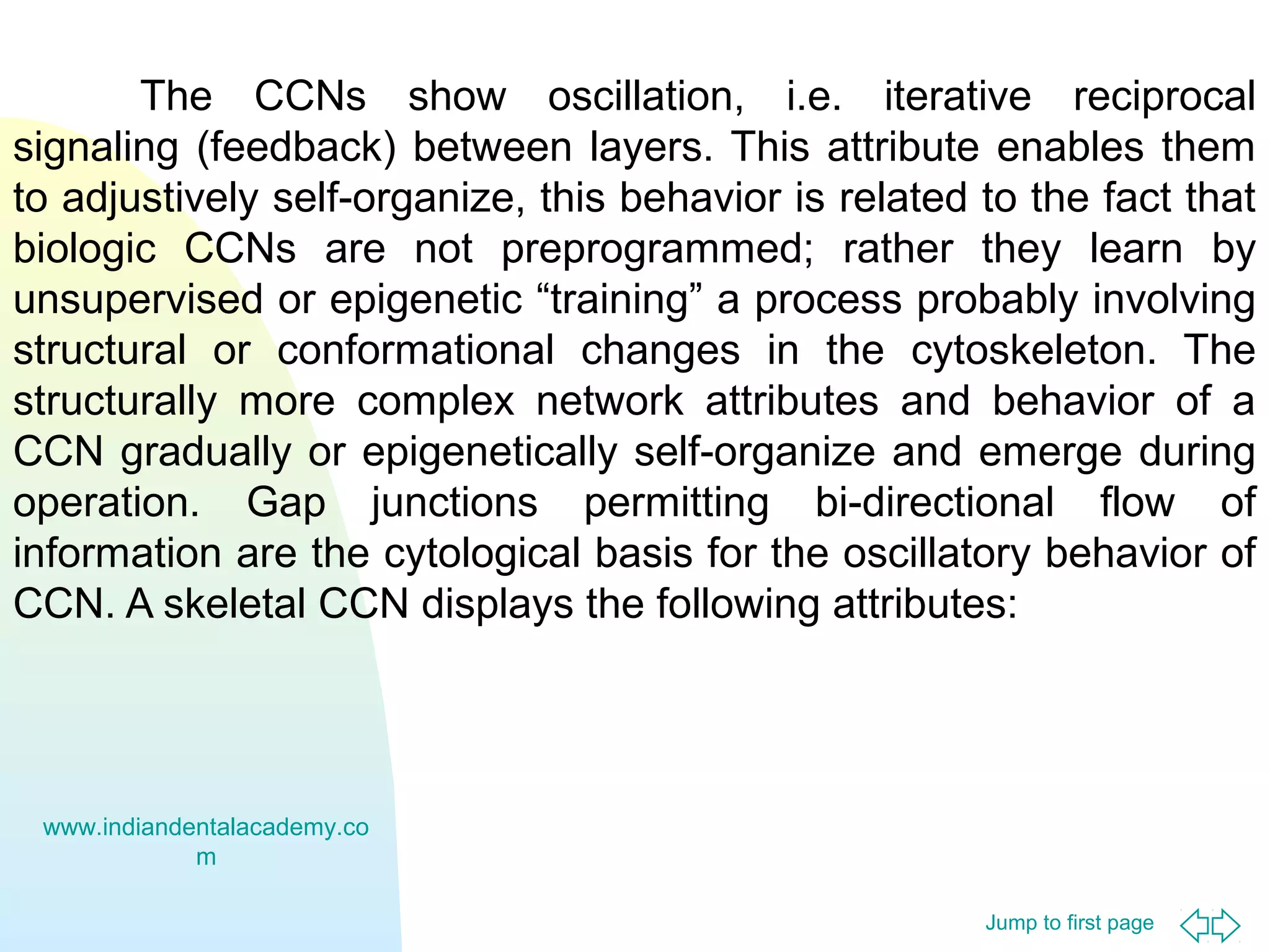 The CCNs show oscillation, i.e. iterative reciprocal
signaling (feedback) between layers. This attribute enables them
to adjustively self-organize, this behavior is related to the fact that
biologic CCNs are not preprogrammed; rather they learn by
unsupervised or epigenetic “training” a process probably involving
structural or conformational changes in the cytoskeleton. The
structurally more complex network attributes and behavior of a
CCN gradually or epigenetically self-organize and emerge during
operation. Gap junctions permitting bi-directional flow of
information are the cytological basis for the oscillatory behavior of
CCN. A skeletal CCN displays the following attributes:

www.indiandentalacademy.co
m
Jump to first page

 