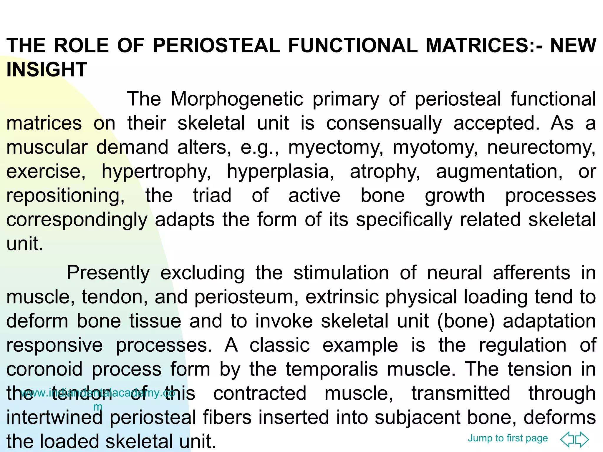 THE ROLE OF PERIOSTEAL FUNCTIONAL MATRICES:- NEW
INSIGHT
The Morphogenetic primary of periosteal functional
matrices on their skeletal unit is consensually accepted. As a
muscular demand alters, e.g., myectomy, myotomy, neurectomy,
exercise, hypertrophy, hyperplasia, atrophy, augmentation, or
repositioning, the triad of active bone growth processes
correspondingly adapts the form of its specifically related skeletal
unit.
Presently excluding the stimulation of neural afferents in
muscle, tendon, and periosteum, extrinsic physical loading tend to
deform bone tissue and to invoke skeletal unit (bone) adaptation
responsive processes. A classic example is the regulation of
coronoid process form by the temporalis muscle. The tension in
www.indiandentalacademy.co
the tendon of this contracted muscle, transmitted through
m
intertwined periosteal fibers inserted into subjacent bone, deforms
Jump to first page
the loaded skeletal unit.

 