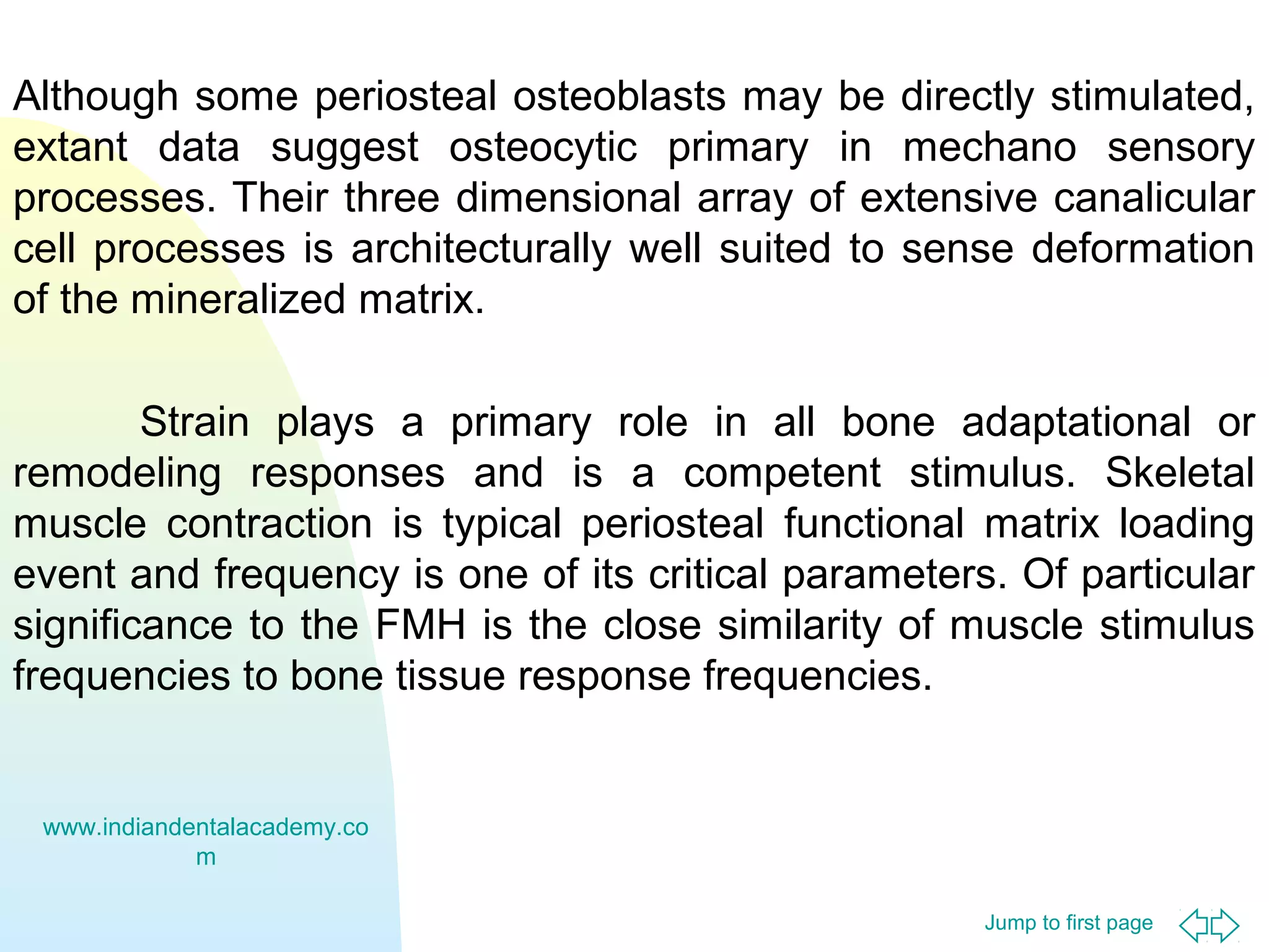 Although some periosteal osteoblasts may be directly stimulated,
extant data suggest osteocytic primary in mechano sensory
processes. Their three dimensional array of extensive canalicular
cell processes is architecturally well suited to sense deformation
of the mineralized matrix.
Strain plays a primary role in all bone adaptational or
remodeling responses and is a competent stimulus. Skeletal
muscle contraction is typical periosteal functional matrix loading
event and frequency is one of its critical parameters. Of particular
significance to the FMH is the close similarity of muscle stimulus
frequencies to bone tissue response frequencies.

www.indiandentalacademy.co
m
Jump to first page

 