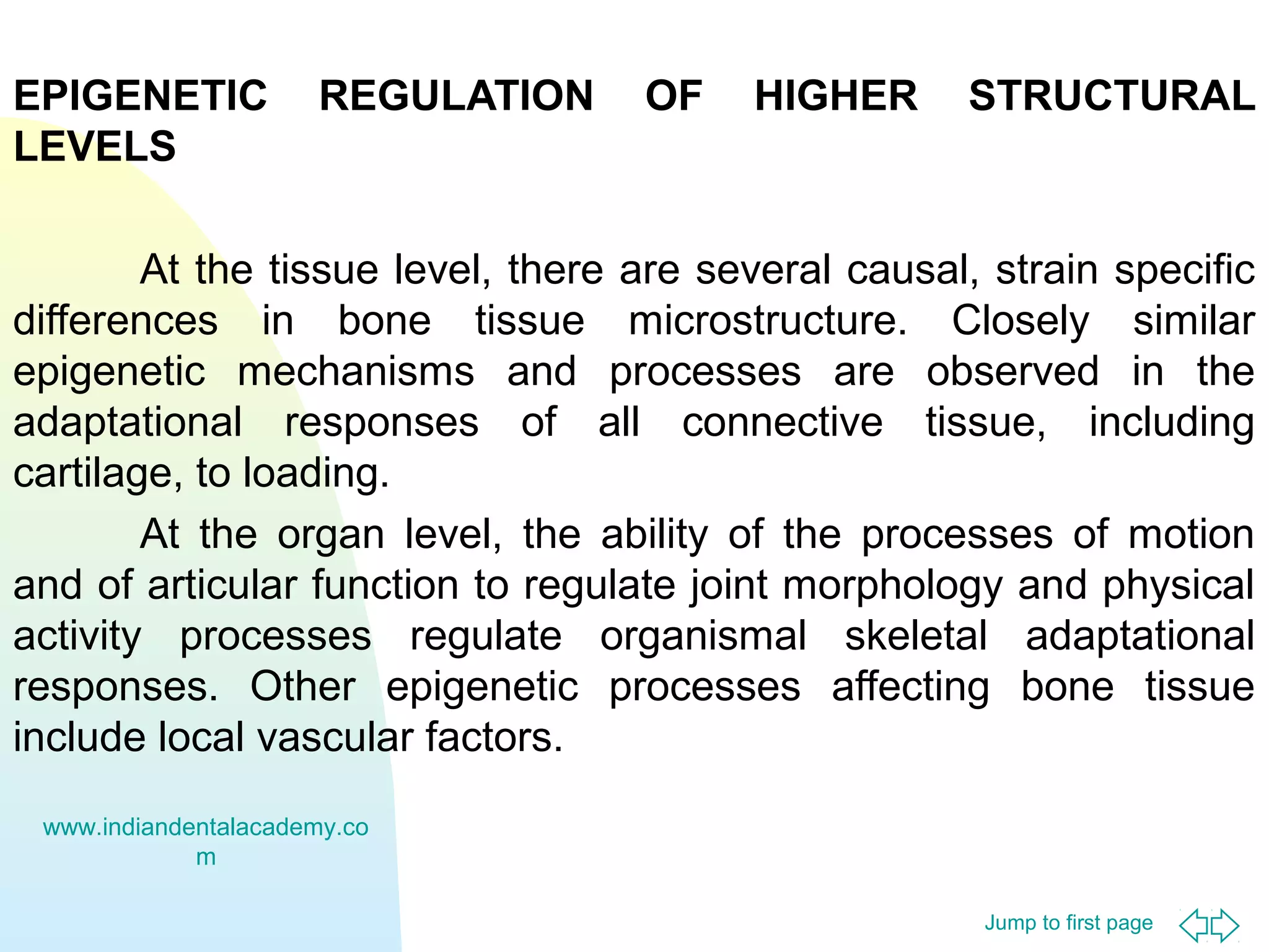 EPIGENETIC
LEVELS

REGULATION

OF

HIGHER

STRUCTURAL

At the tissue level, there are several causal, strain specific
differences in bone tissue microstructure. Closely similar
epigenetic mechanisms and processes are observed in the
adaptational responses of all connective tissue, including
cartilage, to loading.
At the organ level, the ability of the processes of motion
and of articular function to regulate joint morphology and physical
activity processes regulate organismal skeletal adaptational
responses. Other epigenetic processes affecting bone tissue
include local vascular factors.
www.indiandentalacademy.co
m
Jump to first page

 