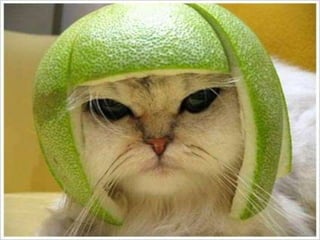 Funny