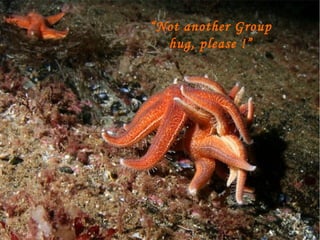 “ Not another Group hug, please !” 