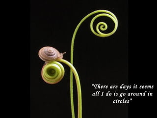 “ There are days it seems all I do is go around in circles” 